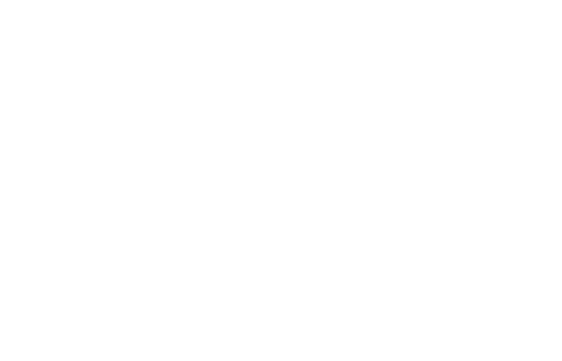 ICDL